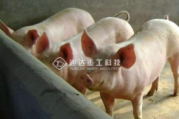  有機肥生產(chǎn)線技術(shù)方案，農(nóng)村有機肥廠的投資和利潤分析