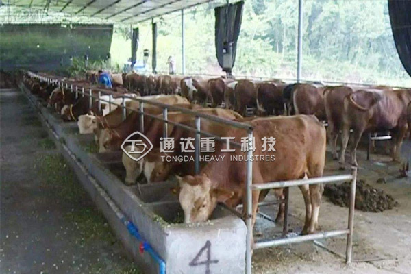  年產(chǎn)5000噸粉狀牛糞有機肥生產(chǎn)線什么價格?投資多少錢成本?