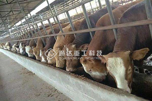  年產(chǎn)5000噸粉狀牛糞有機肥生產(chǎn)線什么價格?投資多少錢成本?