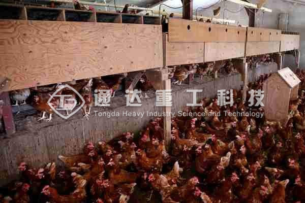  養(yǎng)殖場(chǎng)的雞糞都是怎么處理的?雞糞生產(chǎn)有機(jī)肥的方法和流程
