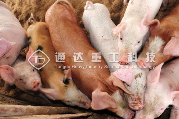  養(yǎng)豬場(chǎng)豬糞處理加工成有機(jī)肥投資成本多少?整條有機(jī)肥生產(chǎn)線回報(bào)利潤(rùn)有多少?
