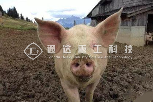  養(yǎng)殖場糞污處理，低成本有機肥生產線方案