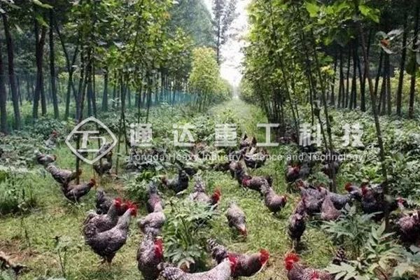 青海西寧市統(tǒng)籌推進(jìn)畜禽養(yǎng)殖污染專項(xiàng)整治