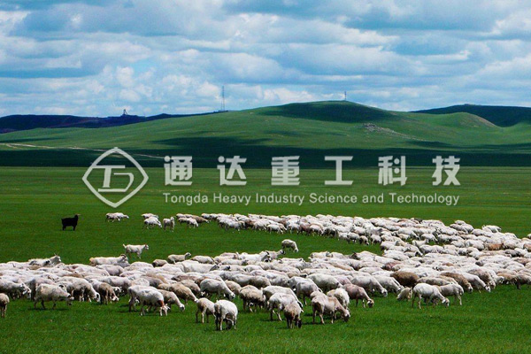 年產(chǎn)1萬噸羊糞有機肥生產(chǎn)線配置清單，需要投資多少錢